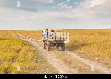 Ländliche Aussicht, Alten hölzernen Wagen - ukraine Erntezeit. Sommertag. Stockfoto