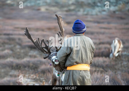 Tsaatan Mann, in einem traditionellen Deel gekleidet, mit seinen Rentieren in der Taiga im Norden der Mongolei Stockfoto