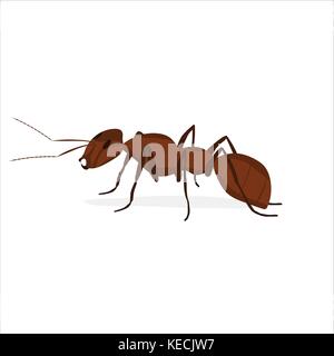 Braun ant mit Antennen auf weißem Hintergrund Stock Vektor