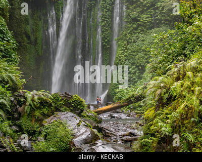 Tiu kelep Wasserfall in der Nähe des Vulkan Rinjani, Lombok, Indonesien Stockfoto