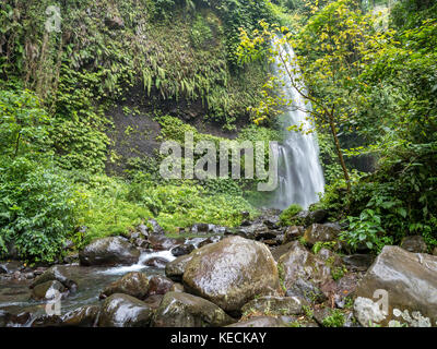 Sendang Gile Wasserfall in der Nähe des Vulkan Rinjani, Lombok, Indonesien Stockfoto