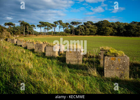 Wandern auf dem John muir Weg zwischen Dunbar und East Linton in Schottland Stockfoto
