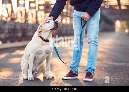 Morgen Spaziergang mit Hund. jungen Mann mit seinem Labrador Retriever auf die Eiserne Brücke bei Sonnenaufgang. Stockfoto