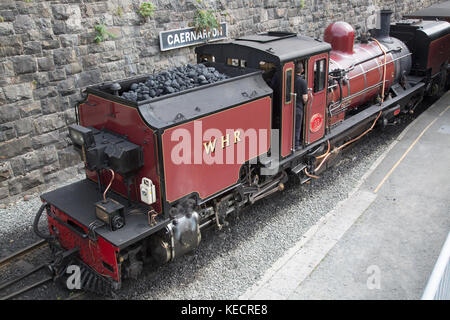 Dampfzug in Caernarfon auf festinioc und Welsh Highland Railway, Wales, Großbritannien Stockfoto