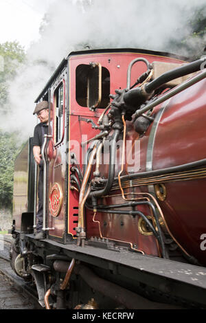 Dampfzug in Caernarfon auf festinioc Welsh Highland Railway, Wales, Großbritannien Stockfoto