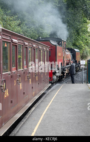 Dampfzug in Caernarfon auf festinioc und Welsh Highland Railway, Wales, Großbritannien Stockfoto