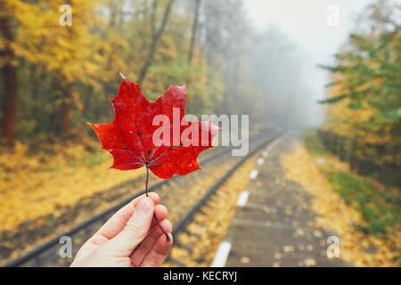 Herbstliche Stimmung auf dem Ausflug. Hand Red maple leaf. persönliche Perspektive auf die ländlichen Bahnhof im Nebel. Stockfoto