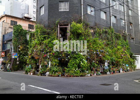 Hiroshima, Japan - 23. Mai 2017: Street View an der Ecke einer Straße in Hiroshima mit vielen grünen Pflanzen und Blumen als Dekoration Stockfoto