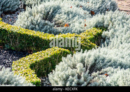 Mit Blick auf die Absicherung Stockfoto