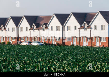 Neue Wohnung am Rand von Broadstairs in Kent, die auf landwirtschaftlichen Feldern Stockfoto