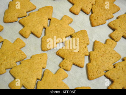 Weihnachtsbaum cookies mit Honig gewürzt - frisch gebackene Teig auf ein Backblech. Stockfoto