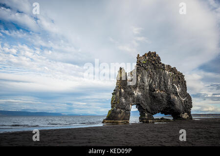 Hvítserkur ist eine 15 m hohe Basalt Stapel entlang der östlichen Küste der Halbinsel Vatnsnes, im Nordwesten Islands. Stockfoto