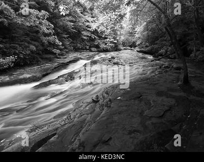 Ein gebirgsbach fließt, obwohl die Wälder in Schwarz und Weiß Stockfoto