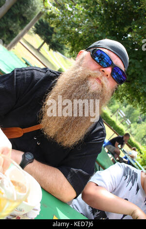 Mann mit langem Bart und Sonnenbrille, Porträt Stockfoto