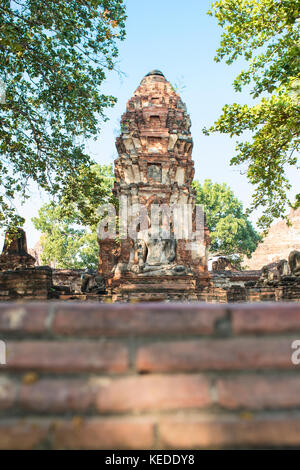 (Selektive Fokus) Buddha auf den Hintergrund im Wat Watthanaram Komplex in Ayutthaya, Thailand. Stockfoto