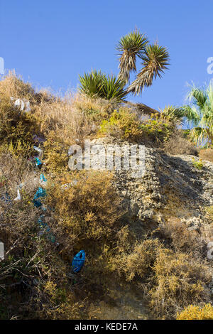 Typische ausgesetzt sedimentären Sandstein Felswand auf der Praia da Oura Strand in Albufeira mit Pinien an der Spitze. Dieser Spot ist verschmutzt worden Stockfoto