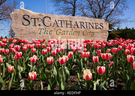 Ein Gateway Zeichen für St. Catharines, Ontario, Kanada, die Garden City. Mit Tulpen im Vordergrund. Stockfoto