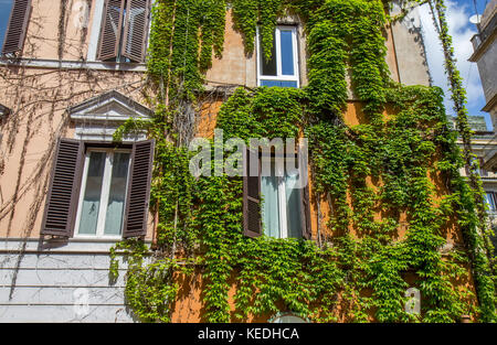 Windows auf das alte Gebäude in Rom, von Efeu bedeckt. Stockfoto