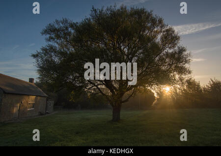 Am frühen Morgen Sonne scheint durch Bäume, klaren und kalten Dämmerung - Fotos Stockfoto