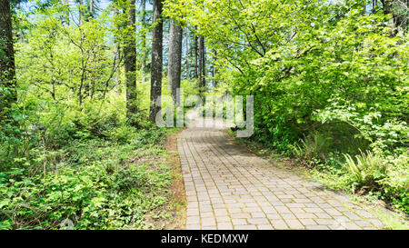 Rim Trail in Silver Falls State Park, South Bereich fällt, in der Nähe von Silverton Oregon. Krone jewell von Oregon State Parks. flagstone Trail. Stockfoto