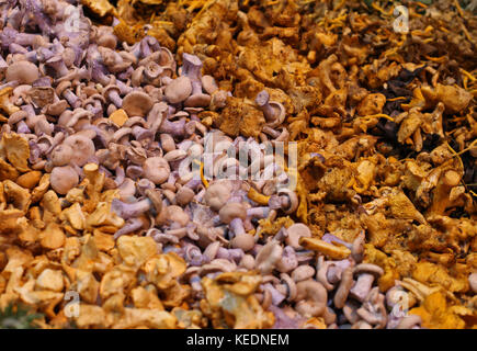 Haufen Pilze auf dem Markt verkauft. Stockfoto