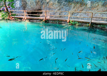 Kroatien Nationalpark Plitvicer Seen berühmt für die Saphir Farbe des Wassers ist. Stockfoto