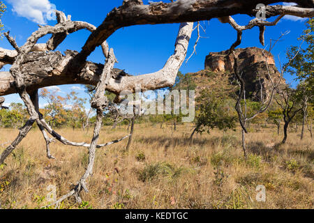 Chapada das Mesas in Maranhão Brasilien. Stockfoto