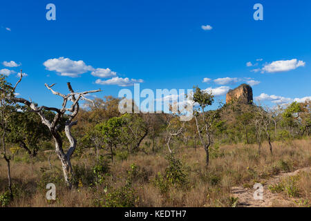 Chapada das Mesas in Maranhão Brasilien. Stockfoto