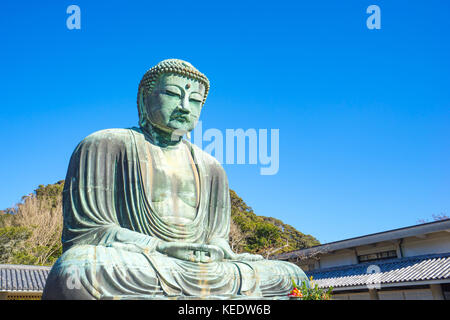 Daibutsu der grosse Buddha von Kamakura, kotokuin Tempel in der Präfektur Kanagawa, Japan. Stockfoto