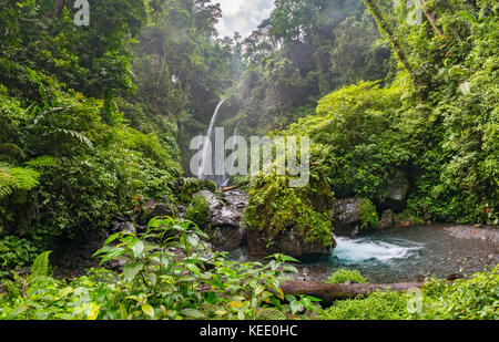 Tiu kelep Wasserfall in der Nähe des Vulkan Rinjani, Lombok, Indonesien Stockfoto