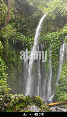 Tiu kelep Wasserfall in der Nähe des Vulkan Rinjani, Lombok, Indonesien Stockfoto