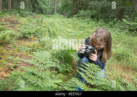 Junge Mädchen fotografieren Natur in Wäldern North Norfolk im Sommer (Model Released - Charlotte Tipling) Stockfoto