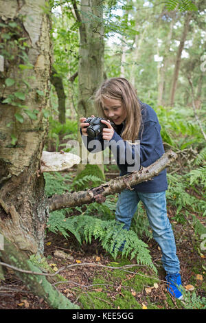 Junge Mädchen fotografieren Natur in Wäldern North Norfolk im Sommer (Model Released - Charlotte Tipling) Stockfoto