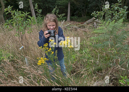 Junge Mädchen fotografieren Natur in Wäldern North Norfolk im Sommer (Model Released - Charlotte Tipling) Stockfoto