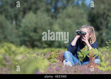 Junge Mädchen Birdwatching auf Lowland heath North Norfolk im Sommer (Model Released - Charlotte Tipling) Stockfoto