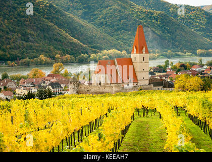 Weissenkirchen wachau Österreich im Herbst bunte Blätter und Weinberge an einem sonnigen Tag Stockfoto