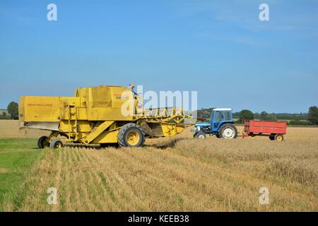 Alte offene Kabine gelb New Holland Mähdrescher Erntegut auf einem englischen Farm in 2017 Stockfoto