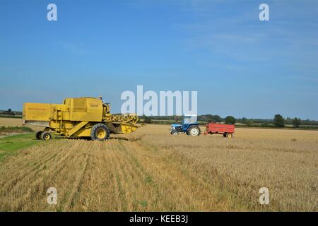 Alte offene Kabine gelb New Holland Mähdrescher Erntegut auf einem englischen Farm in 2017 Stockfoto