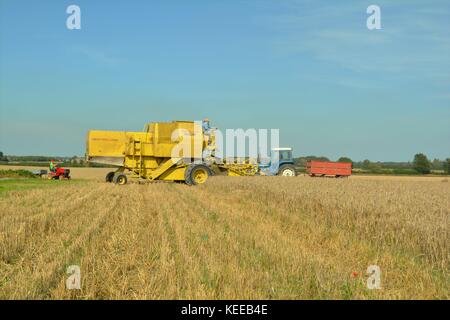 Alte offene Kabine gelb New Holland Mähdrescher Erntegut auf einem englischen Farm in 2017 Stockfoto