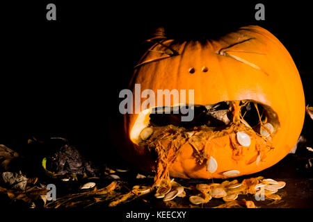 Einen geschnitzten Kürbis aussieht umgeben zu Erbrechen werden durch Blätter Stockfoto