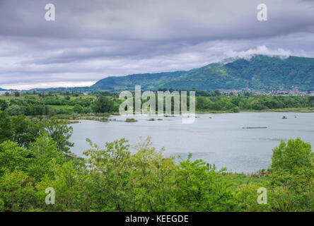 Wetland Nature Reserve, Torbiere del Sebino in der Nähe von Iseo See, Lombardei in Italien Stockfoto