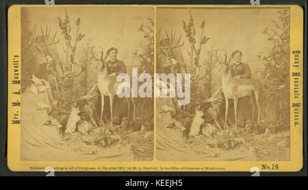 Frau M. A. Maxwell und einige der Tiere in Ihrem Rocky Mountain Museum. Von Robert N. Dennis Sammlung von stereoskopische Ansichten 2. Stockfoto