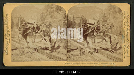 Ich half Pike's Peak railroad mich, Colorado, USA, von Robert N. Dennis Sammlung von stereoskopische Ansichten zu bauen Stockfoto