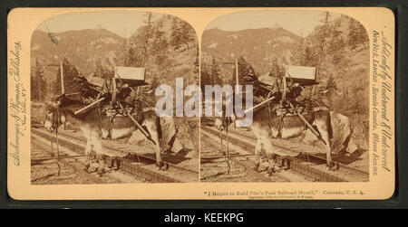 Ich half Pike's Peak railroad mich, Colorado, USA, von Robert N. Dennis Sammlung von stereoskopische Ansichten 4 zu bauen Stockfoto