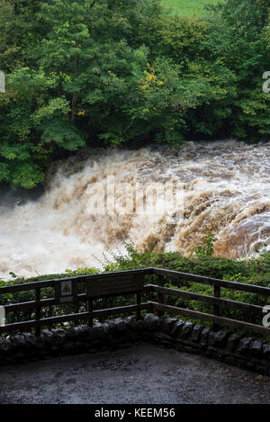 Mitte fällt bei aysgarth fällt in den Yorkshire Dales National Park, England. Stockfoto