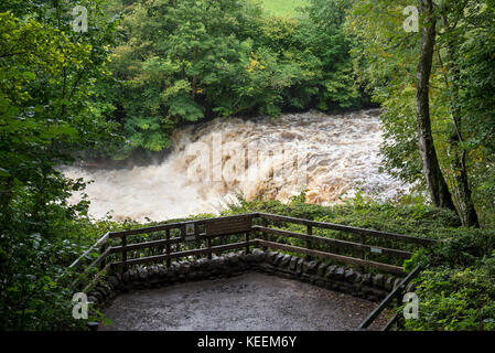 Mitte fällt bei aysgarth fällt in den Yorkshire Dales National Park, England. Stockfoto