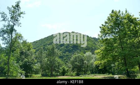 Die bewaldeten Berghang in niedrig liegenden Cloud mit der immergrünen Nadelbäumen in Nebel in einer malerischen Landschaft eingehüllt anzeigen Stockfoto