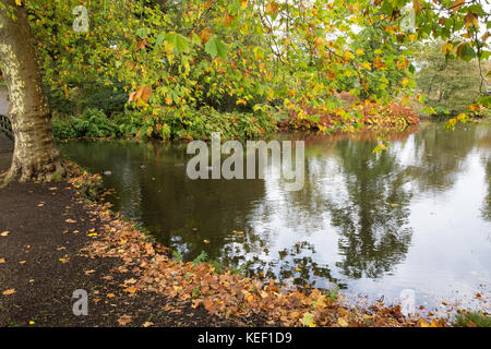 Savill garden, Englefield Green, Großbritannien. 20 Okt, 2017. Herbst Farbe rund um einen See bei savill Garden im Windsor Great Park. Credit: Mark kerrison/alamy leben Nachrichten Stockfoto