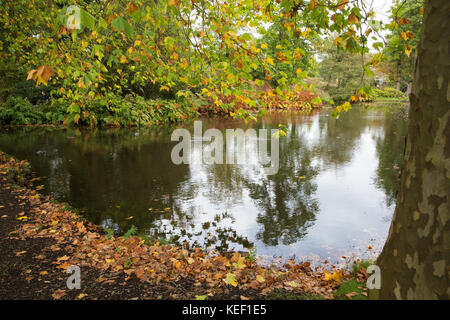 Savill garden, Englefield Green, Großbritannien. 20 Okt, 2017. Herbst Farbe rund um einen See bei savill Garden im Windsor Great Park. Credit: Mark kerrison/alamy leben Nachrichten Stockfoto