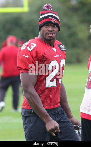 London, Großbritannien. 20 Okt, 2017. zurück Adrian Peterson laufen an der Arizona Cardinals Pressekonferenz und Praxis an der Hazelwood Zentrum, Sunbury, vor Ihren nfl uk internationale Reihe Spiel vs Los Angeles rams in Twickenham Stadium, London, UK, 20. Oktober 2017 Foto von Keith mayhew Credit: Keith mayhew/alamy leben Nachrichten Stockfoto